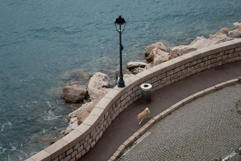 Deniz kıyısı yürüyüş yolu ve korkuluk